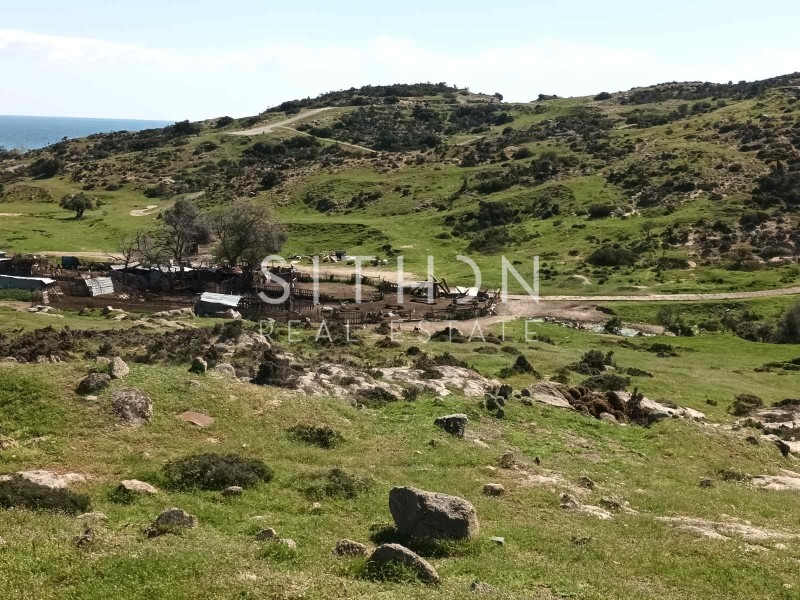 Οικόπεδο 500 τ.μ. προς πώληση, Σκάλα Συκέας