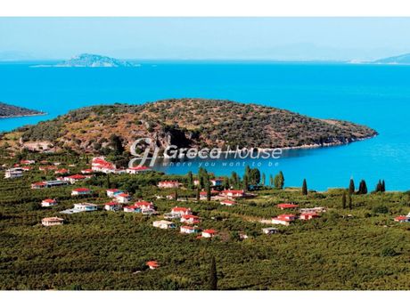 Land plot 11.000sqm for sale-Epidavros » Archaia Epidavros