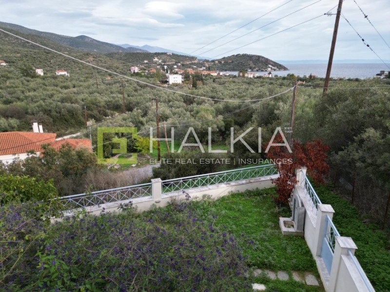 Μεζονέτα 169 τ.μ. πρός πώληση, Μαγνησία, Αισωνία