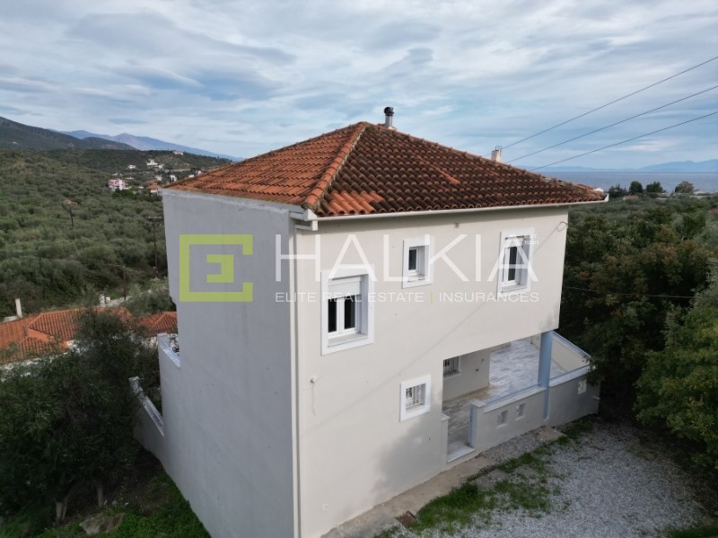 Μεζονέτα 169 τ.μ. πρός πώληση, Μαγνησία, Αισωνία