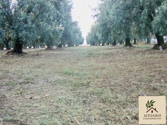 Αγροτεμάχια 8.000 τ.μ. για πώληση, Αιτωλοακαρνανία, Οινιάδες