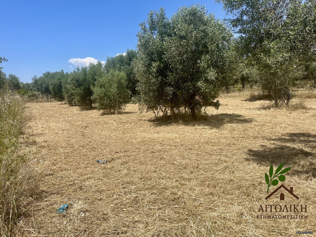 Οικόπεδο 1.000 τ.μ. πρός πώληση, Αιτωλοακαρνανία, Ιερά Πόλη Μεσολογγίου