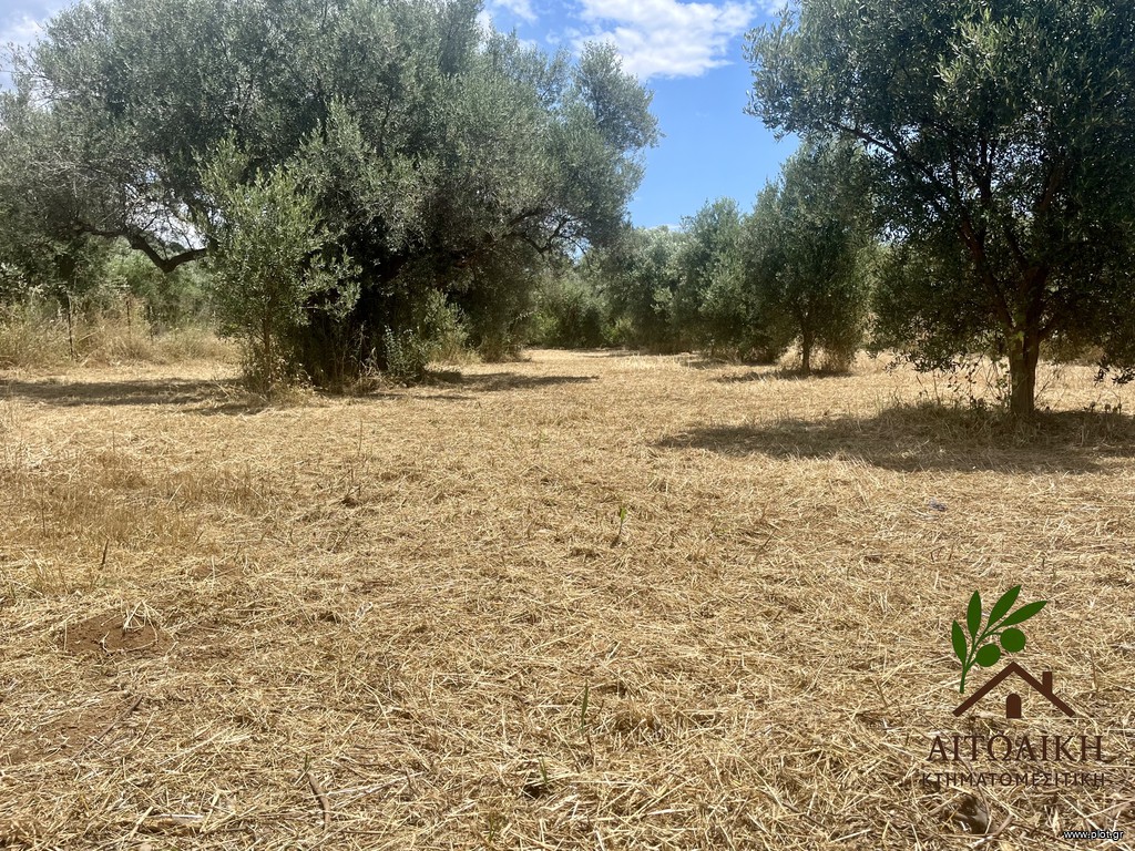 Οικόπεδο 1.000 τ.μ. πρός πώληση, Αιτωλοακαρνανία, Ιερά Πόλη Μεσολογγίου