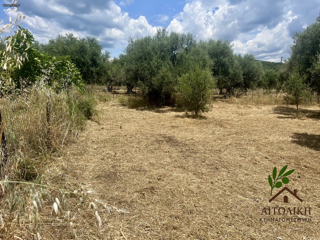 Οικόπεδο 1.000 τ.μ. πρός πώληση, Αιτωλοακαρνανία, Ιερά Πόλη Μεσολογγίου