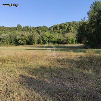 Αγροτεμάχια 10.000 τ.μ. για πώληση, Αρκαδία, Τρόπαια