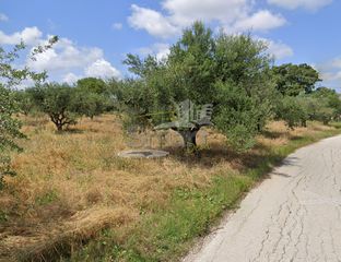 Αγροτεμάχια 4.191 τ.μ. για πώληση