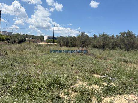 Οικόπεδο 1.000 τ.μ. για πώληση