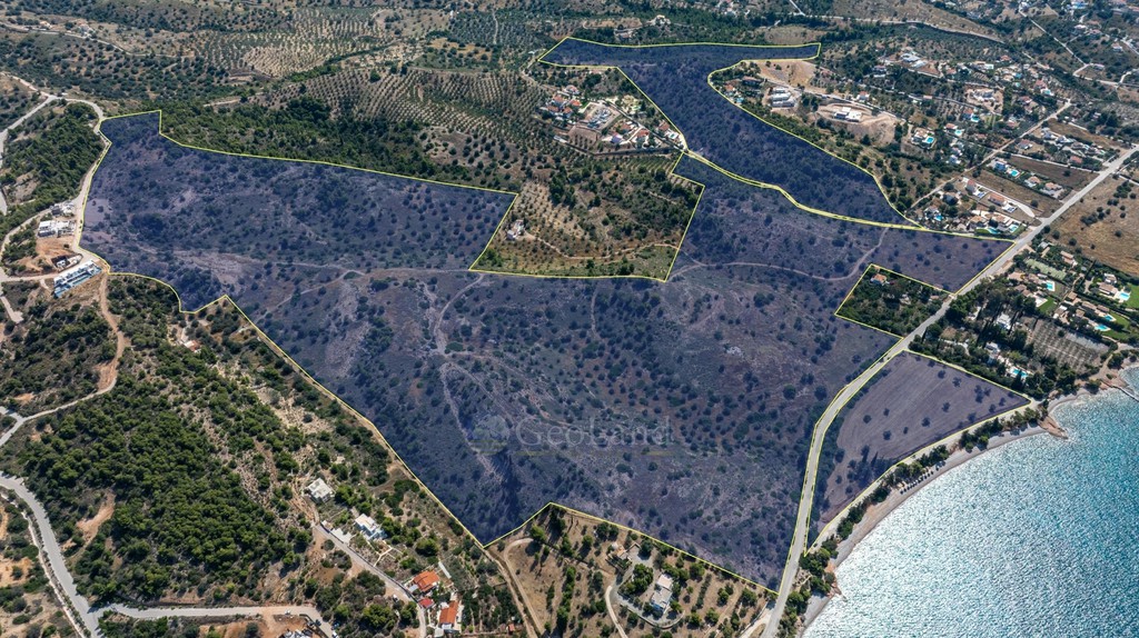 Αγροτεμάχια 377.575 τ.μ. προς πώληση, Βερβερούδα