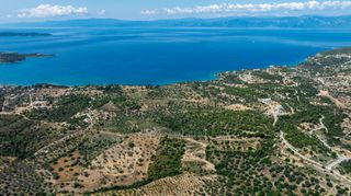 Αγροτεμάχια 377.575 τ.μ. προς πώληση, Βερβερούδα-thumb-9