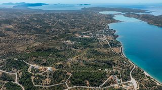 Αγροτεμάχια 377.575 τ.μ. προς πώληση, Βερβερούδα-thumb-13