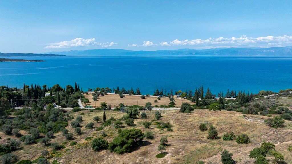 Αγροτεμάχια 377.575 τ.μ. προς πώληση, Βερβερούδα