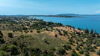 Αγροτεμάχια 377.575 τ.μ. προς πώληση, Βερβερούδα-thumb-7