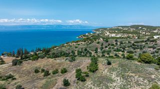 Αγροτεμάχια 377.575 τ.μ. προς πώληση, Βερβερούδα-thumb-5