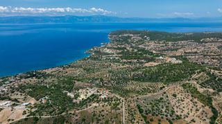 Αγροτεμάχια 377.575 τ.μ. προς πώληση, Βερβερούδα-thumb-24