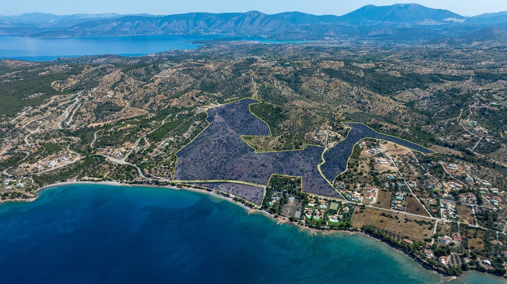 Αγροτεμάχια 377.575 τ.μ. προς πώληση, Βερβερούδα