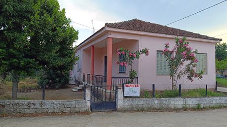Μονοκατοικία 100τ.μ. για πώληση-Μουζάκι » Γελάνθη