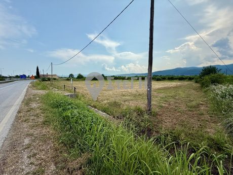 Αγροτεμάχια 3.500τ.μ. για πώληση-Δοβρά » Τρίλοφο