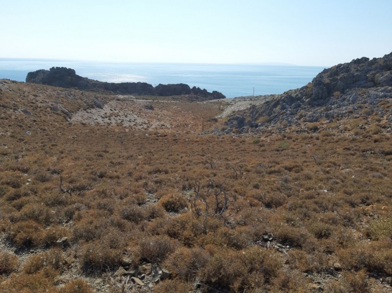 Αγροτεμάχια 5.300,68 τ.μ. πρός πώληση, Ν. Ρεθύμνου, Φοινίκας