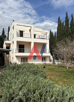 Μονοκατοικία 266τ.μ. για ενοικίαση-Νέα μάκρη » Κέντρο