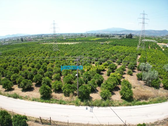 Αγροτεμάχια 7.816 τ.μ. για πώληση, Αργολίδα, Άργος