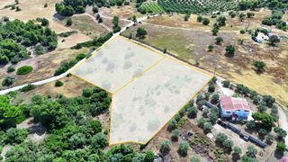 Αγροτεμάχια 8.015,55 τ.μ. για πώληση, Αργολίδα, Κρανίδι-thumb-26