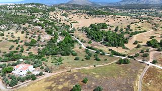 Αγροτεμάχια 8.015,55 τ.μ. για πώληση, Αργολίδα, Κρανίδι-thumb-11