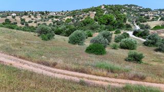 Αγροτεμάχια 8.015,55 τ.μ. για πώληση, Αργολίδα, Κρανίδι-thumb-22