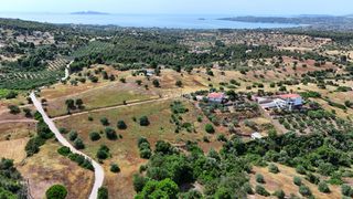 Αγροτεμάχια 8.015,55 τ.μ. για πώληση, Αργολίδα, Κρανίδι-thumb-1