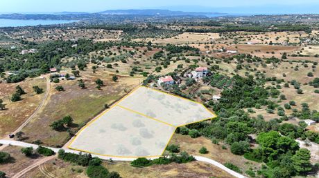 Αγροτεμάχια 8.015,55τ.μ. για πώληση-Κρανίδι