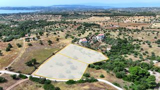 Αγροτεμάχια 8.015,55 τ.μ. για πώληση