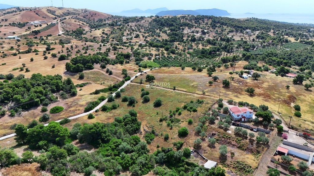 Parcel 8.015,55 sqm for sale, Argolis, Kranidi