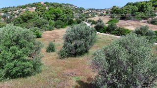 Αγροτεμάχια 8.015,55 τ.μ. για πώληση, Αργολίδα, Κρανίδι-thumb-28