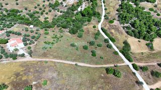 Αγροτεμάχια 8.015,55 τ.μ. για πώληση, Αργολίδα, Κρανίδι-thumb-21