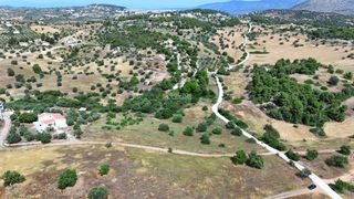 Αγροτεμάχια 4.013,05 τ.μ. για πώληση, Αργολίδα, Κρανίδι-thumb-12