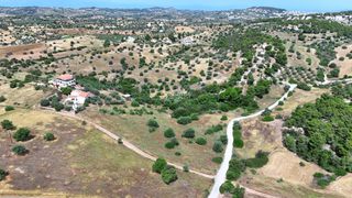 Αγροτεμάχια 4.013,05 τ.μ. για πώληση, Αργολίδα, Κρανίδι-thumb-13