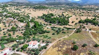 Αγροτεμάχια 4.013,05 τ.μ. για πώληση, Αργολίδα, Κρανίδι-thumb-10