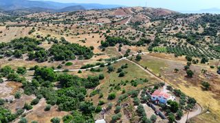 Αγροτεμάχια 4.013,05 τ.μ. για πώληση, Αργολίδα, Κρανίδι-thumb-8