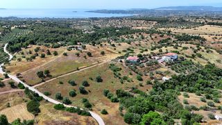 Αγροτεμάχια 4.013,05 τ.μ. για πώληση, Αργολίδα, Κρανίδι-thumb-6