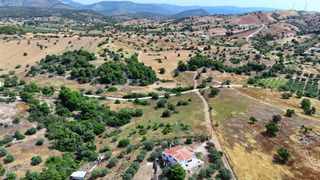 Αγροτεμάχια 4.013,05 τ.μ. για πώληση, Αργολίδα, Κρανίδι-thumb-9