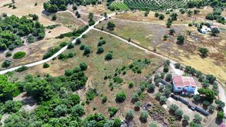 Αγροτεμάχια 4.013,05 τ.μ. για πώληση, Αργολίδα, Κρανίδι-thumb-18