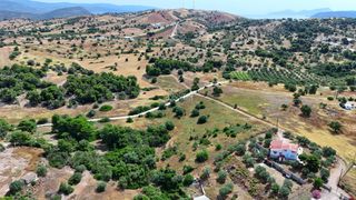 Αγροτεμάχια 4.013,05 τ.μ. για πώληση, Αργολίδα, Κρανίδι-thumb-7