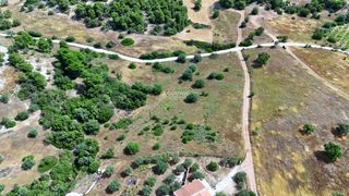 Αγροτεμάχια 4.013,05 τ.μ. για πώληση, Αργολίδα, Κρανίδι-thumb-19