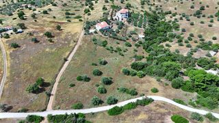 Αγροτεμάχια 4.013,05 τ.μ. για πώληση, Αργολίδα, Κρανίδι-thumb-15