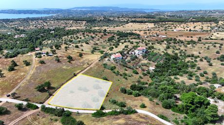 Αγροτεμάχια 4.013,05τ.μ. για πώληση-Κρανίδι