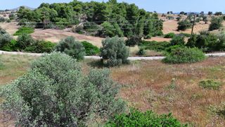 Αγροτεμάχια 4.013,05 τ.μ. για πώληση, Αργολίδα, Κρανίδι-thumb-26
