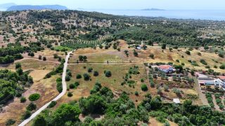 Αγροτεμάχια 4.013,05 τ.μ. για πώληση, Αργολίδα, Κρανίδι-thumb-2