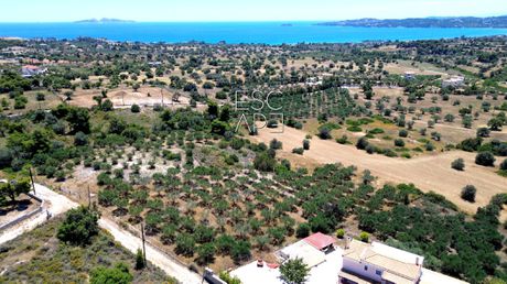Οικόπεδο 4.016 τ.μ. πρός πώληση