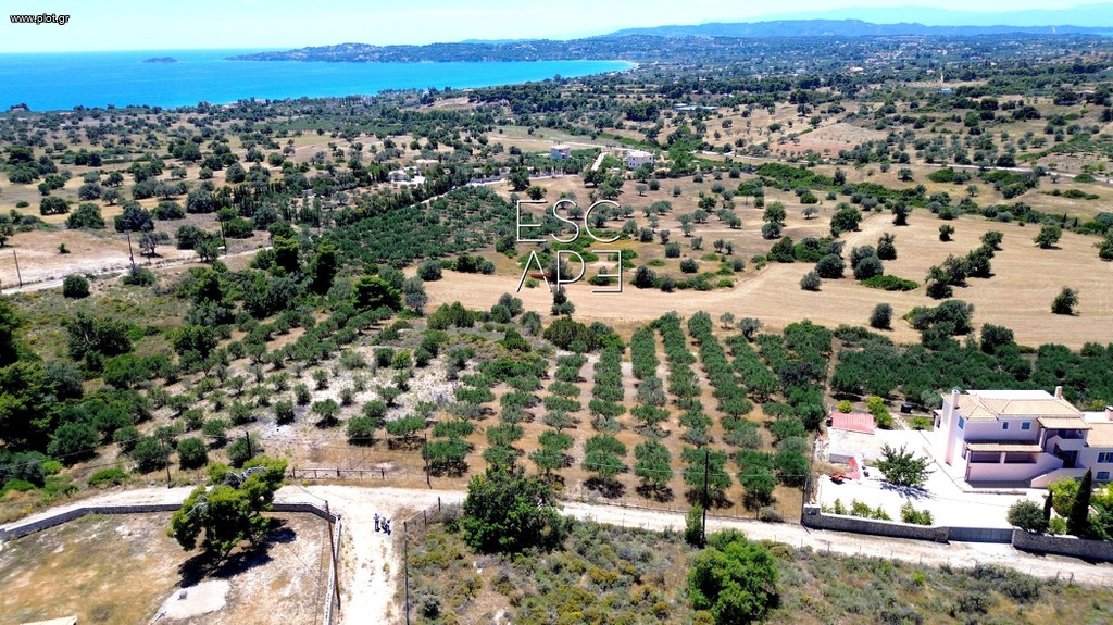 Οικόπεδο 4.016 τ.μ. προς πώληση, Αργολίδα, Κρανίδι