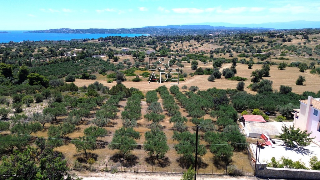 Οικόπεδο 4.016 τ.μ. προς πώληση, Αργολίδα, Κρανίδι