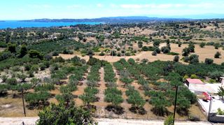 Οικόπεδο 4.016 τ.μ. πρός πώληση, Αργολίδα, Κρανίδι-thumb-4